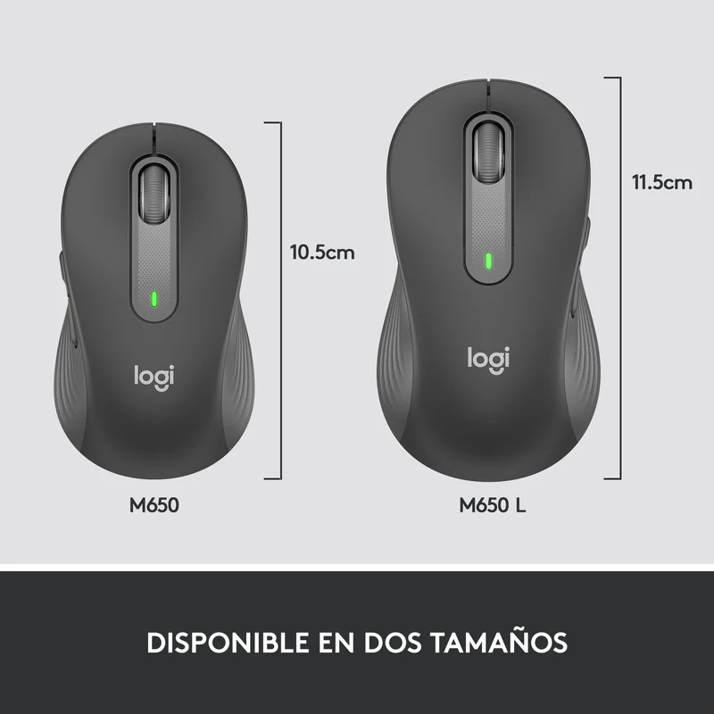 Miniatura 10