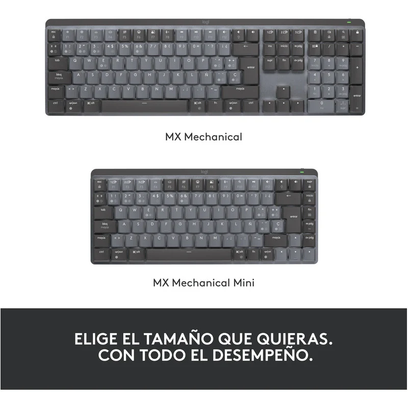Miniatura 10