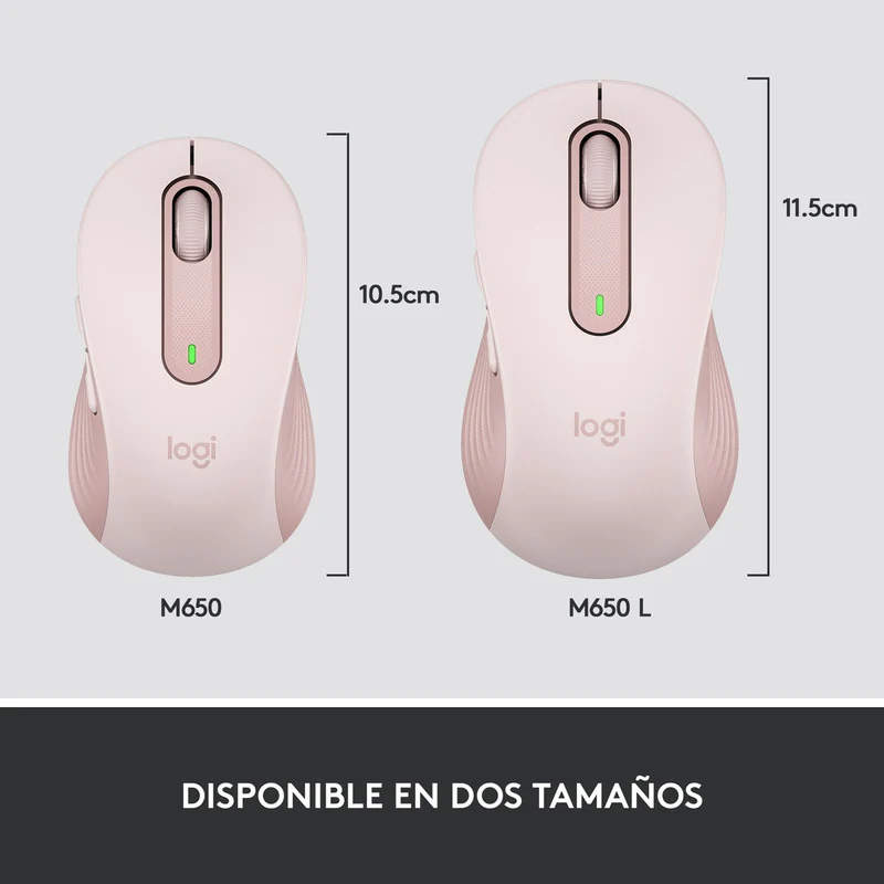 Miniatura 10