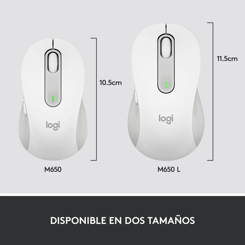 Miniatura 10