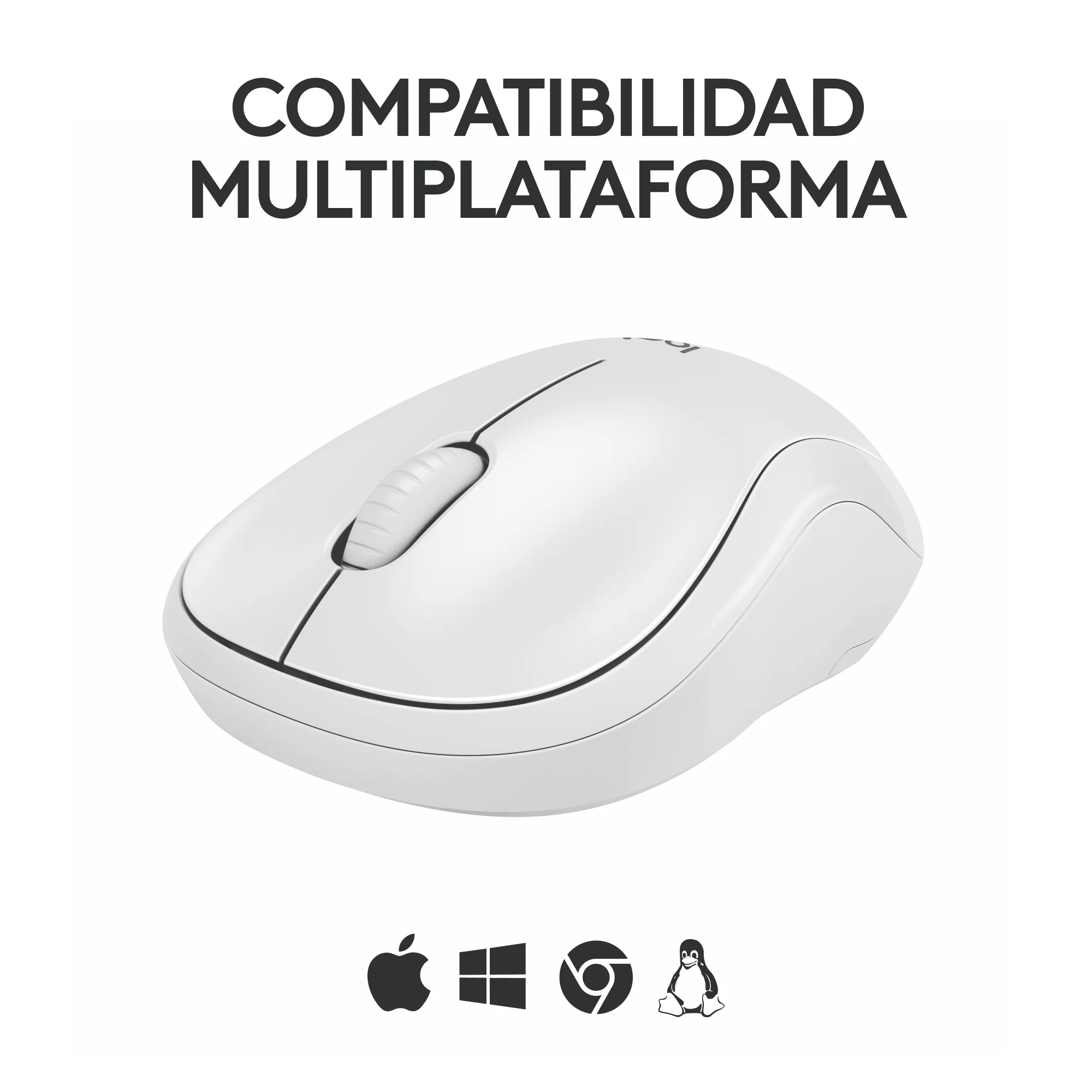 Miniatura 10