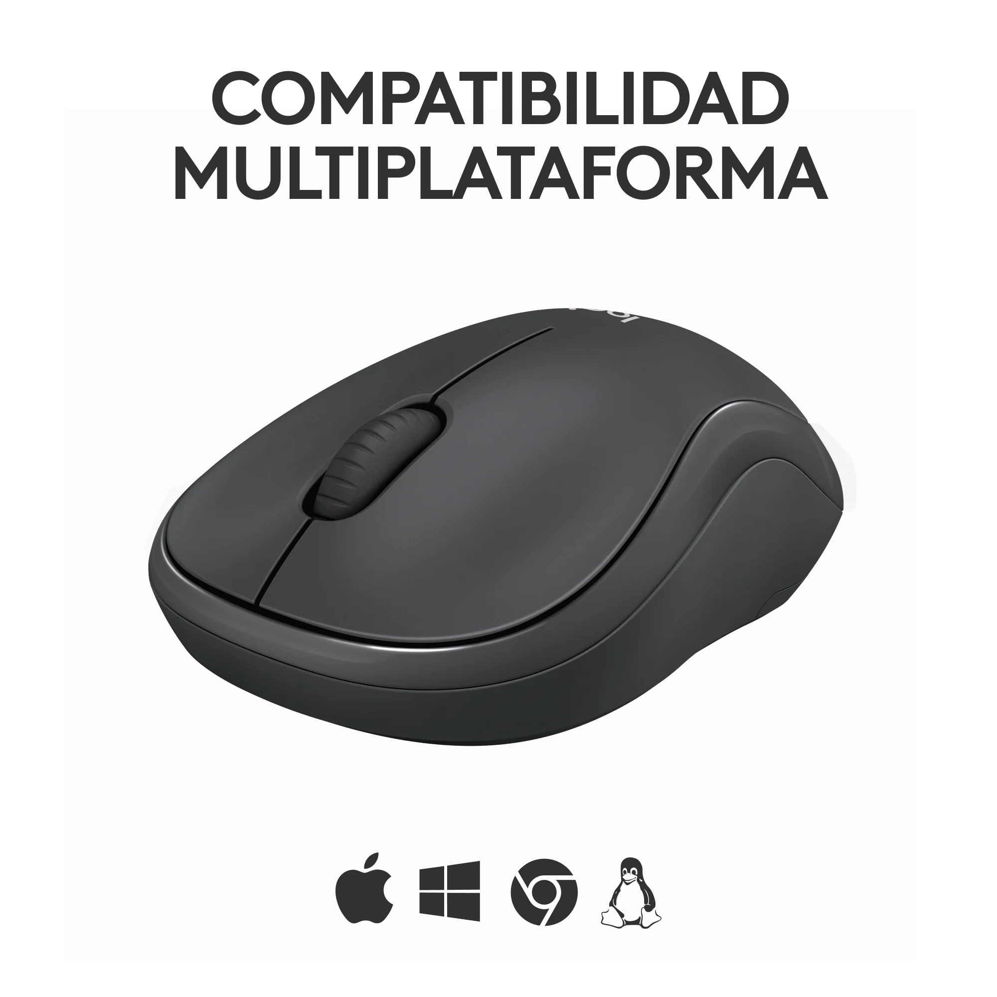 Miniatura 10
