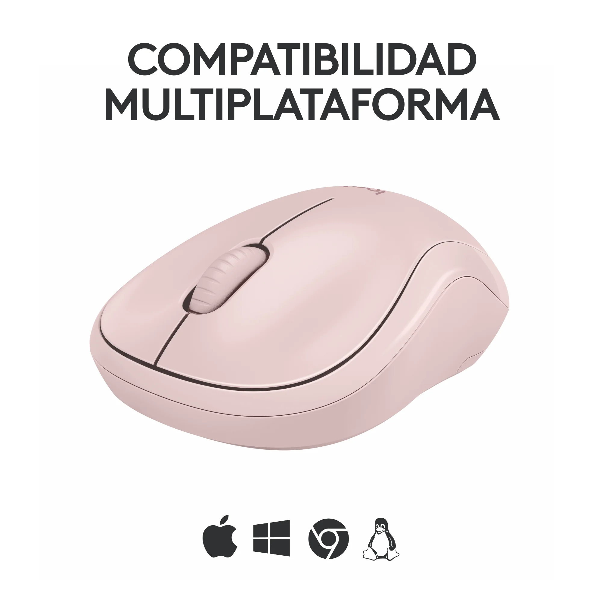Miniatura 10