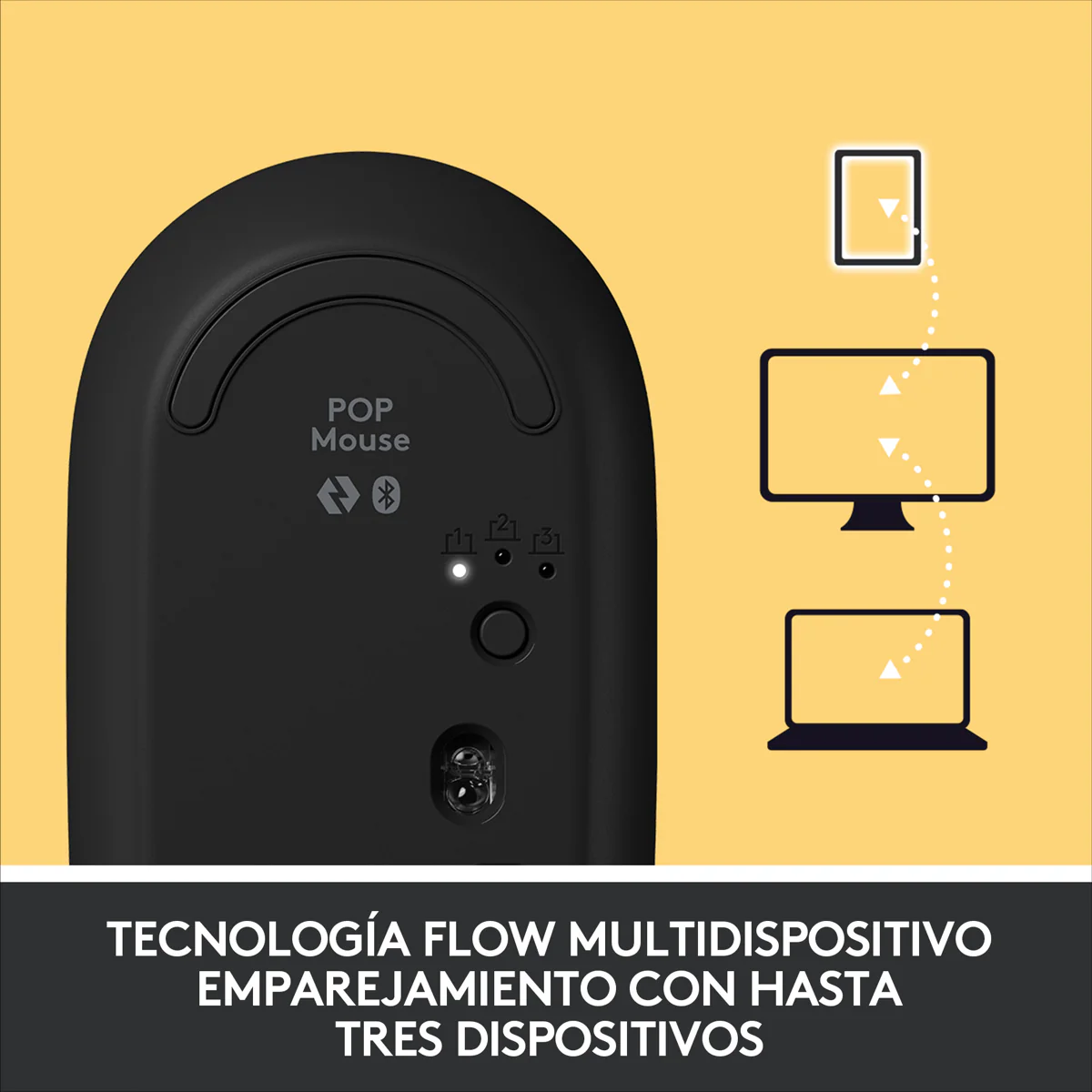 Miniatura 10